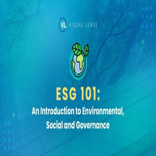 ESG 101: Giới Thiệu Về Môi Trường, Xã Hội Và Quản Trị